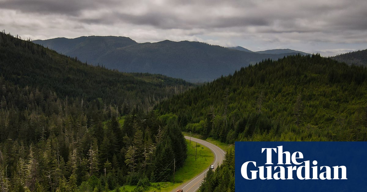 Tom Schultz explains that the best way to save forests is to turn them into lumber, which, conveniently, used to be his actual job.
