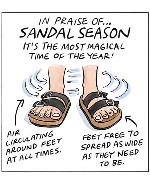 Sandal season by Becky Barnicoat cartoon, panel 1