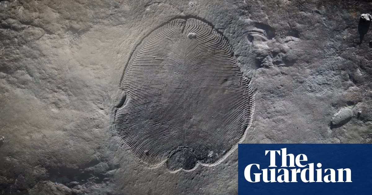 Scientists reveal secrets of oldest known animal fossil – video | Science | The Guardian
