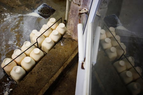 bottles of raw milk on a barn floor