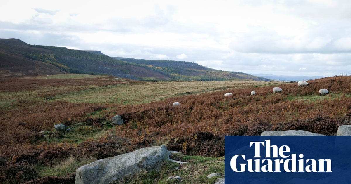 Wildlife Trusts hit £30m target to buy and rewild huge Northumberland estate