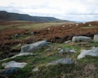 Wildlife Trusts hit £30m target to buy and rewild huge Northumberland estate