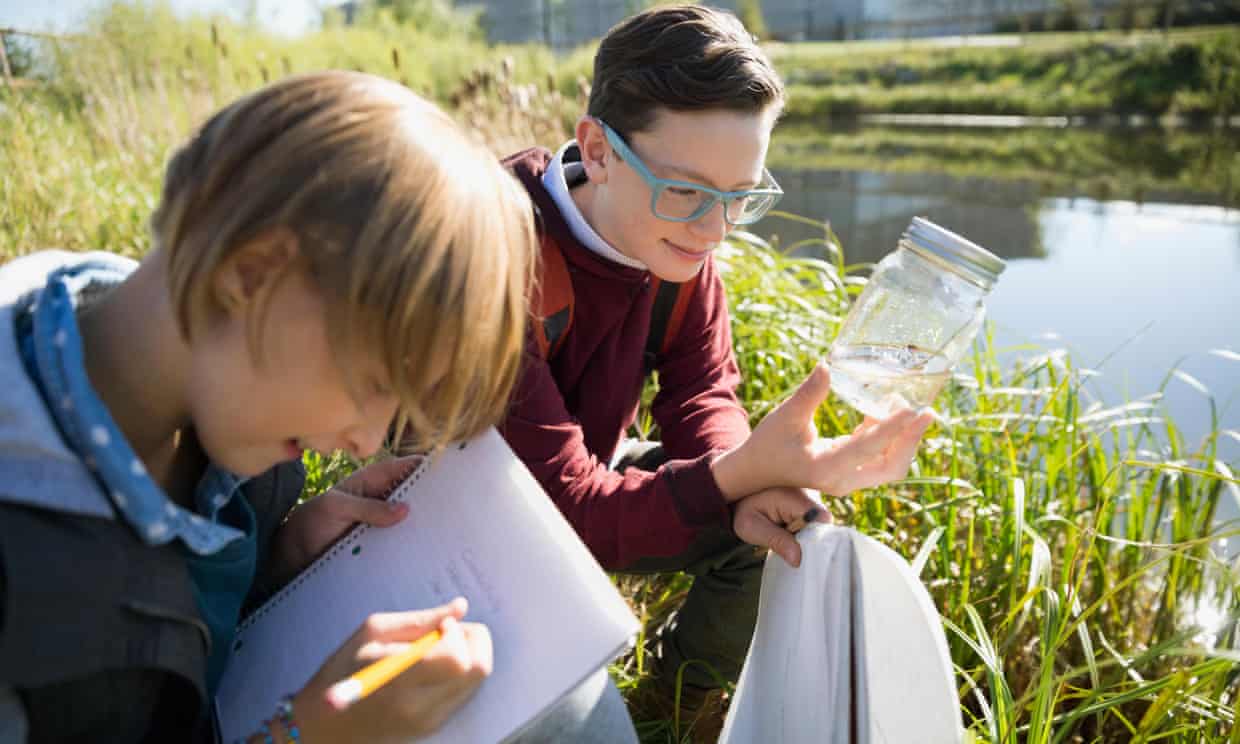 children investigate pond life