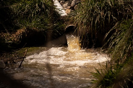 Brown water flows out of a pipe on a river bank