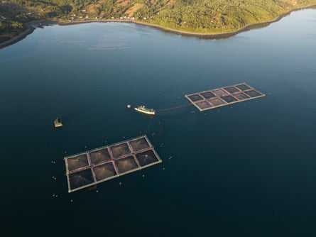 An aerial view of a fish farm with 18 large open nets and a ship nearby