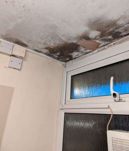 Ceiling with patches of black mould and spores in the corner of a room above a window