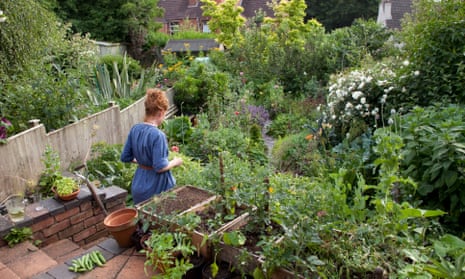 Alys Fowler in her garden