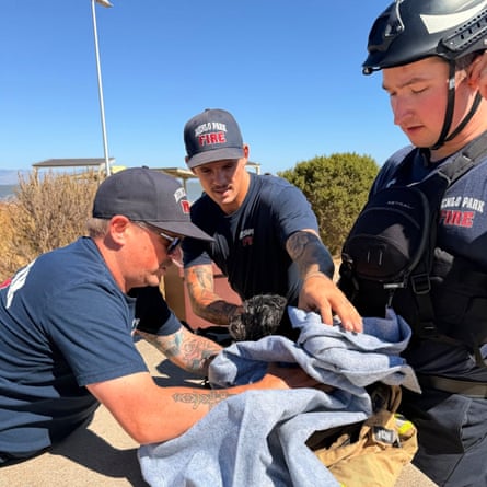 a dog surrounded by men