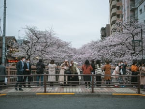 People gather on a small bridge to enjoy viewing of cherry blossoms in Tokyo while highest temperature in the Japanese capital rose to 19 degrees Celsius