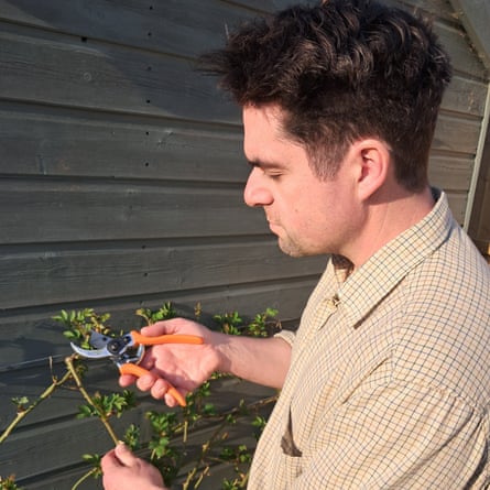 Matt and Burgon and Ball bypass Secateurs 3 copy