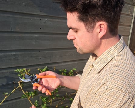 Matt and Burgon and Ball bypass Secateurs 3 copy