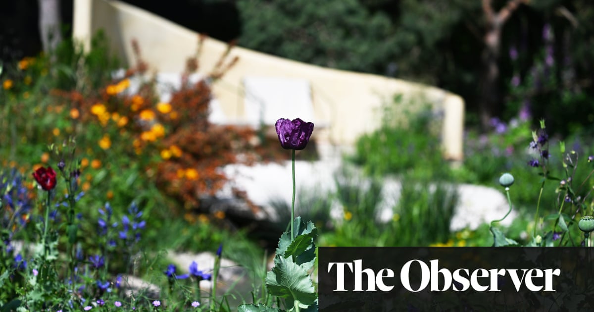 ‘It brings you in and shelters you’: NHS creates ‘recovery gardens’ for staff and patients | Mental health ‘It brings you in and shelters you’: NHS creates ‘recovery gardens’ for staff and patients | Mental health