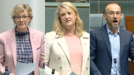 MPs voice outrage over Labor deportation bill that HRLC says will criminalise refugees – video