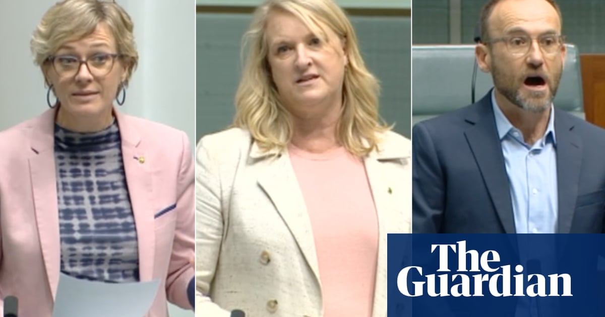MPs voice outrage over Labor deportation bill