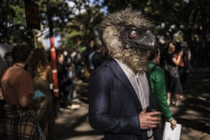 A protestor dressed as a bird in the Domain, Sydney.