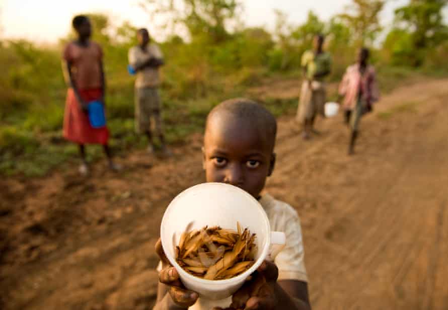 A boy holding a bowl of termites in front of the camera with his family behind