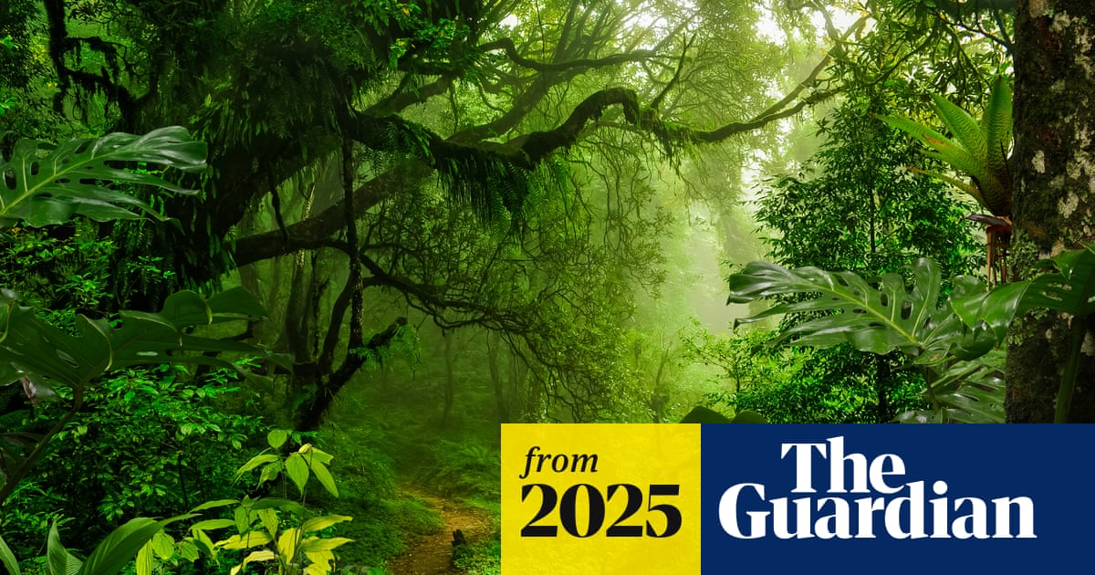 ‘Half the tree of life’: ecologists’ horror as nature reserves are emptied of insects