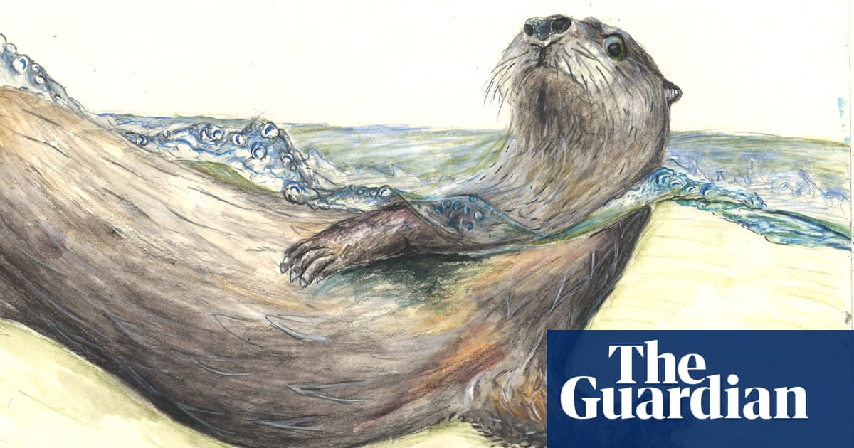 ‘Dare to believe’: young writers on their dreams of the sea