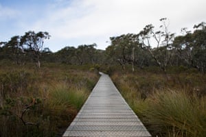 The boardwalk as we leave Surveyors hut.