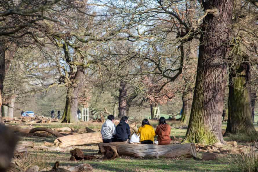 Мертвую древесину и упавшие с деревьев ветви теперь оставляют в Ричмонд-парке, чтобы помочь таким видам, как сапроксильные беспозвоночные.  Они также делают удобные сиденья.