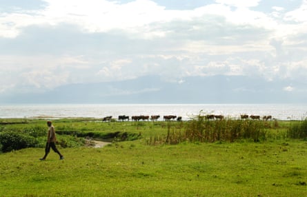 A man and his cows by Lake Tanganyika in Bujumbura, Burundi’s capital.