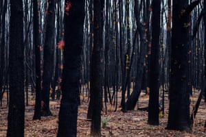 Tallowa Dam, New South Wales