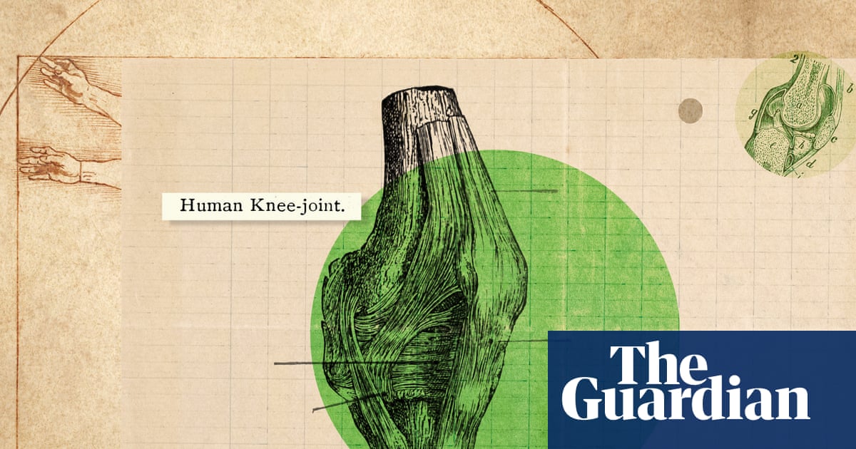 ‘They don’t have a nice socket structure’: how to really look after your knees