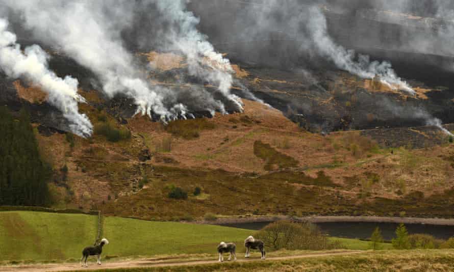 Fires on Marsden Moor in April