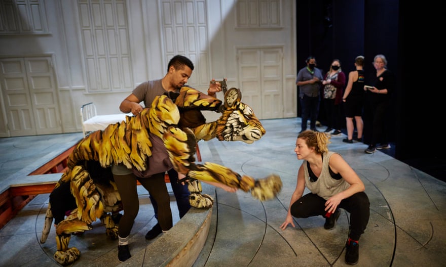 The life of Pi's tiger during rehearsals.