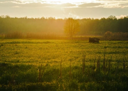 An early morning view of the Biebrza marshes.