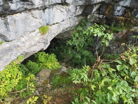 Country diary: cave secrets of lost charismatic carnivores