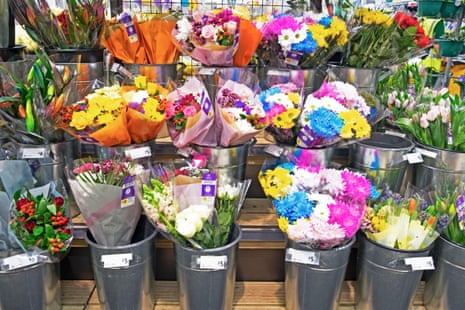 Floral florist display of cut flowers grown in British nurseries on shelves in Morrisons supermarket.
