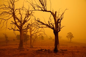 Red Haze by Yvette Morris (Perine) ‘This was taken in January 2020 in Belconnen in the ACT, which was not close to the bushfires at the time. The effect, even from a distance, was frightening and foreboding.’