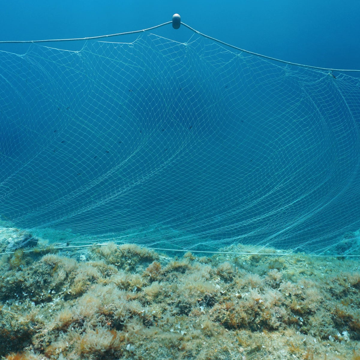 Dumped fishing gear is killing marine life. Yet no governments