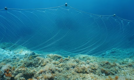 Dumped fishing gear is killing marine life. Yet no governments seem to care | George Monbiot