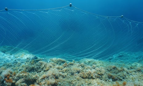 A gillnet fixed on a rocky seabed in the Mediterranean sea.