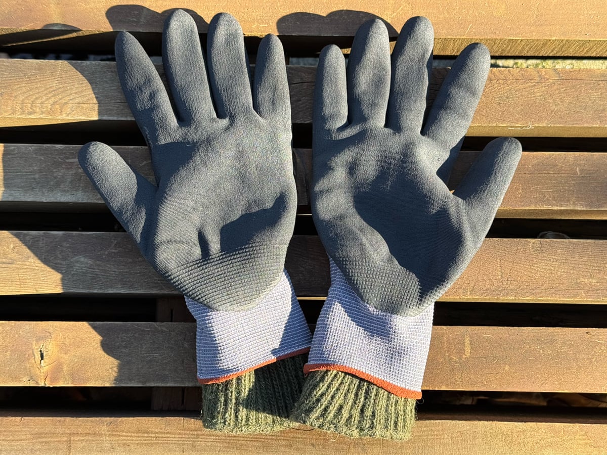 The best winter gloves are two pairs, actually (and one is hiding at Home Depot) | Life and style | The Guardian The best winter gloves are two pairs, actually (and one is hiding at Home Depot) | Life and style | The Guardian