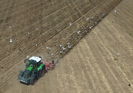 A drone image shows birds following a tractor plowing a field on a farm in Spalding