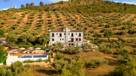 A white hotel and adjacent pool in a hilly landscape of olive trees