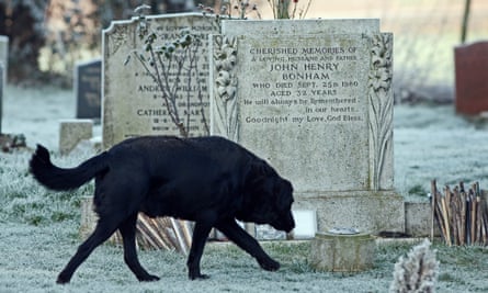Black dog at John Bonham's grave, Rushock, Worcestershire. For F&M piece on the graves of rock musicians