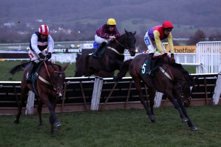 Kripticjim (right) jumps a hurdle along with two other horses at Cheltenham.