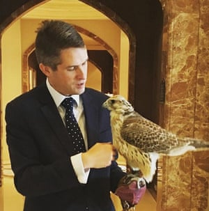 Gavin Williams falcon