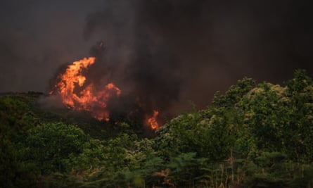 The era of 'mega forest fires' has begun in Spain. Is climate change to  blame?