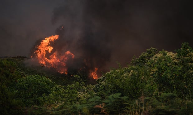 El presidente del Gobierno español, Pedro Sánchez, dijo: 'El cambio climático es la víctima: como hemos visto, mata gente;  Está acabando con nuestro medio ambiente, nuestra biodiversidad, y está destruyendo las cosas que apreciamos como sociedad.