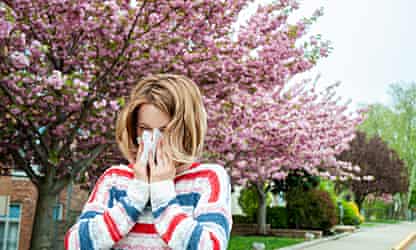 Which is the most hayfever-prone city – and is 'botanical sexism' to blame?
