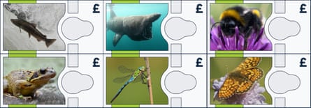 Design of possible banknotes.