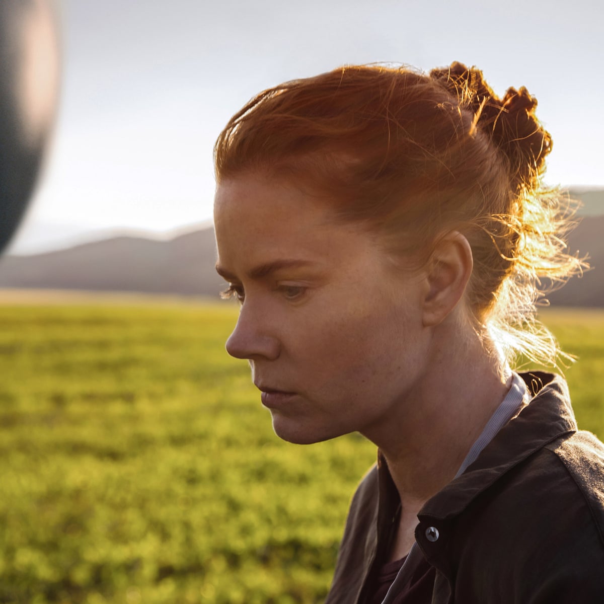 Arrival Review Amy Adams Has A Sublime Word With Alien Visitors Film The Guardian