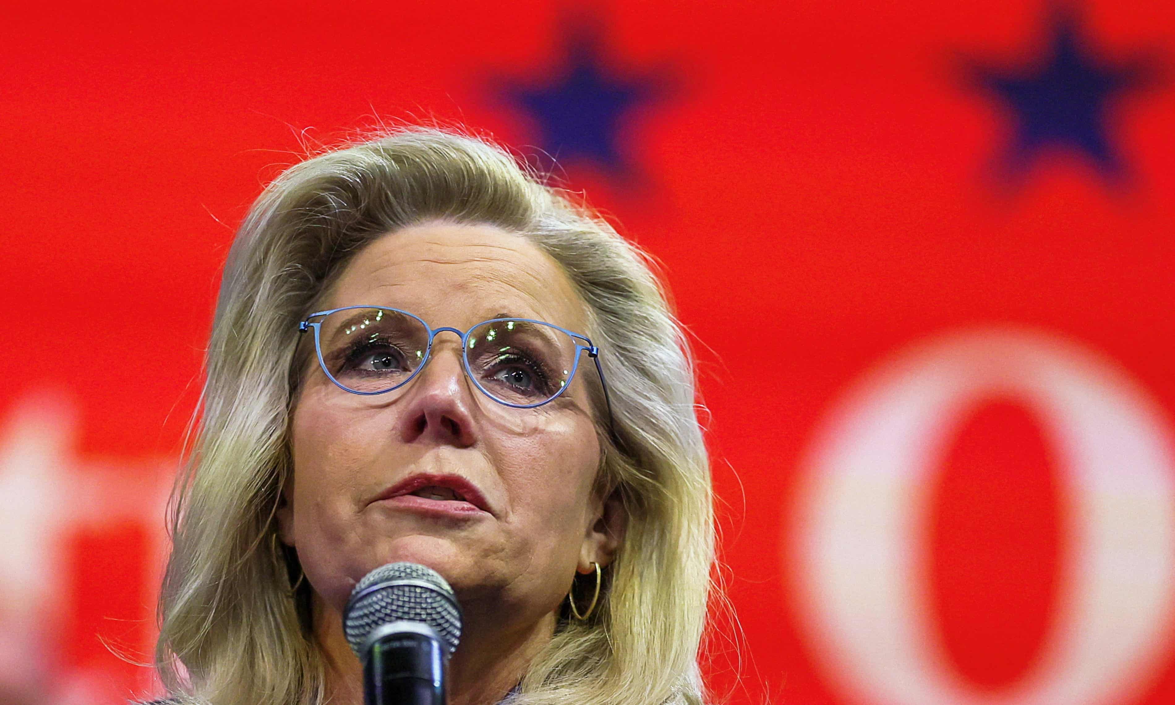 ‘We have to blow it up’: can never-Trumpers retake the Republican party? (theguardian.com)