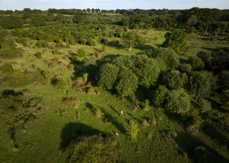 Aerial view of land with grass, trees and scrub