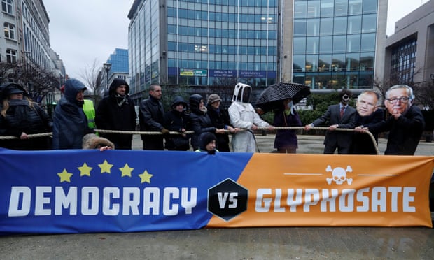 Protestors wearing masks depicting EU health commissioner Vytenis Andriukaitis (L) and European Commission president Jean Claude Juncker (R) demonstrate against a five-year extension of the license for glyphosate in Brussels, 27 November.